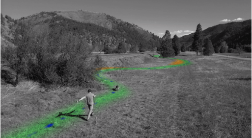 Tracking: Freedom to Hunt Style