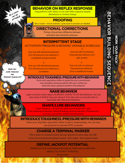 Ignite Your Training System