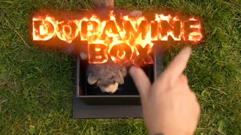 Dopamine Box Dog Training: Build Engagement, Focus & Drive